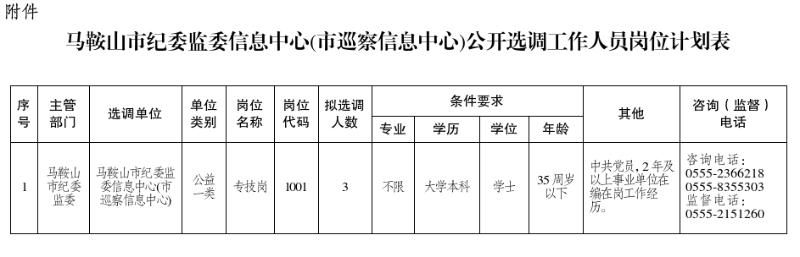 馬鞍山市紀委監(jiān)委信息中心(市巡察信息中心)公開選調(diào)工作人員崗位計劃表