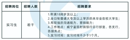 2025年威寧富民村鎮(zhèn)銀行暑期實習生招聘啟事