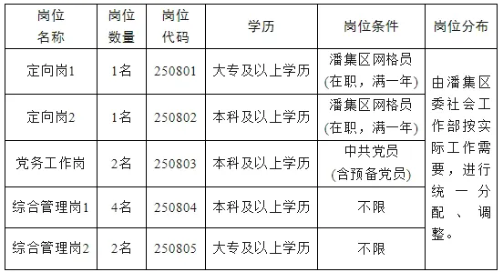 潘集區(qū)2025年度公開(kāi)招聘社區(qū)“兩委”后備干部崗位計(jì)劃表